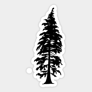 Evergreen Tree Sticker